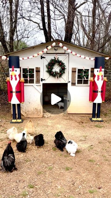 393K views · 13K likes | Tamara on Instagram: "I thought I would jump on the #christmasinjuly trend. These were the chicken nutcrackers that I made last Christmas for the new house. I cannot wait to decorate the new house and chicken coop for Christmas this year! . . #chickennutcracker #nutcrackers #christmas #christmasdecor #christmasproject #diynutcrackers #diychristmasdecor #diyhomedecor" Decorating Chicken Coop For Christmas, Last Christmas, Chicken Eggs, The Chicken, Christmas In July, Chicken Coop, New House, Christmas Projects, Nutcracker