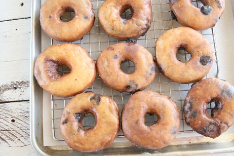 Blueberry Cake Doughnuts Cake Doughnuts Recipe, Carolina Farmhouse, Blueberry Doughnuts, Blueberry Cake Donuts, Cider Donuts Recipe, Cake Doughnuts, Doughnuts Recipe, Easy Donuts, Doughnut Cake