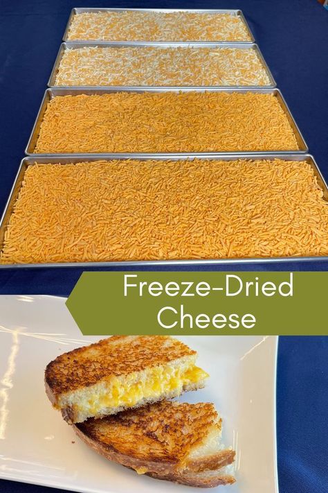 See how much you can save by freeze drying at home? Freeze Drying Food Ideas, Freeze Dryer Snacks, Freeze Dried Snack Ideas, Freeze Dryer Ideas, Freeze Dryer Recipes, How To Use Freeze Dried Food, Freeze Dried Snacks, How To Store Freeze Dried Food, Home Freeze Drying