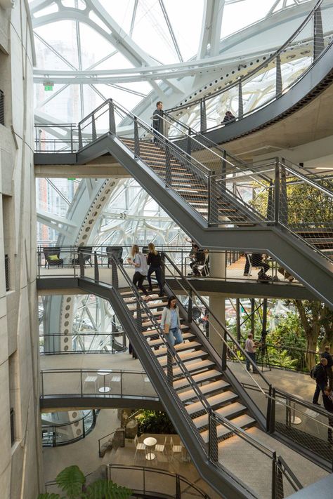 Amazon Headquarters, Amazon Spheres, Amazon Jeff Bezos, Downtown Seattle, Jeff Bezos, Rain Forest, Building Structure, Seattle Washington, Architecture Firm