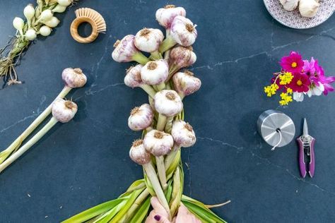 Learn to braid garlic for storage and have flavorful — and beautiful — homegrown garlic at your fingertips well into winter. Braid Garlic, Types Of Garlic, Learn To Braid, Curing Garlic, When To Plant Garlic, Harvest Garlic, How To Dry Flowers, Garlic Growing, Plant Garlic