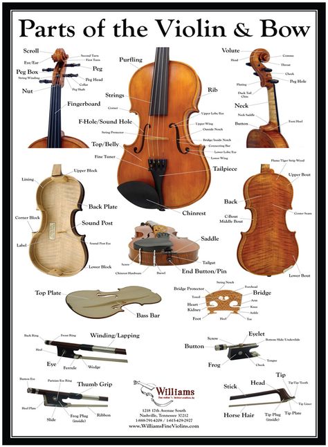 Parts Of The Violin, Orchestra Teacher, Violin Teaching, Violin Practice, Music Theory Worksheets, Violin Makers, Violin Art, Violin Parts, Violin Design