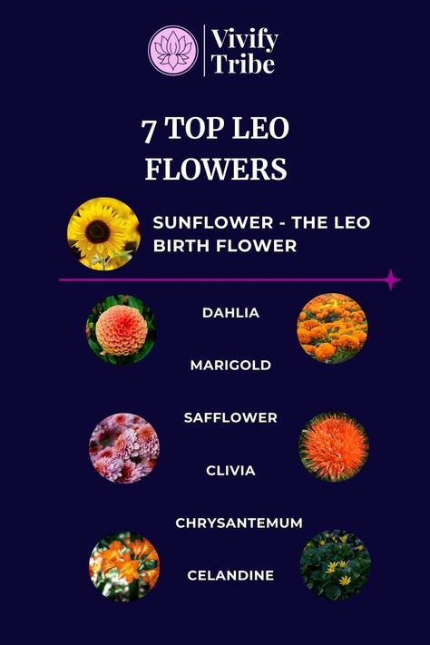 The Best Flowers For Leo: What's Their Birth Flower?Explore the Sunflower as Leo's birth flower, embodying vibrancy, loyalty, and creativity. Then delve into how it mirrors Leo's spirit, enhancing optimism and leadership, and symbolizing the warmth and generosity inherent to this zodiac sign. Zodiac Signs Flowers, Leo Birth Flower, Leo Flower, Leo Characteristics, Fire Zodiac Signs, Fire Zodiac, Healing Candles, Leo Traits, Lucky Symbols