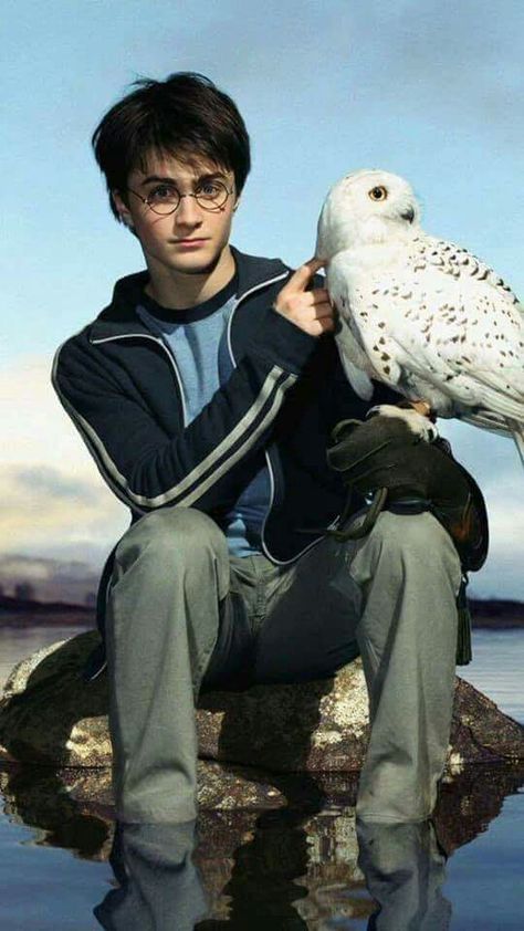 daniel radcliffe Meme Harry Potter, Film Harry Potter, Citate Harry Potter, Glume Harry Potter, Daniel Radcliffe Harry Potter, Tapeta Harry Potter, Harry Potter Quiz, Harry Potter Background, Harry Potter Memes Hilarious