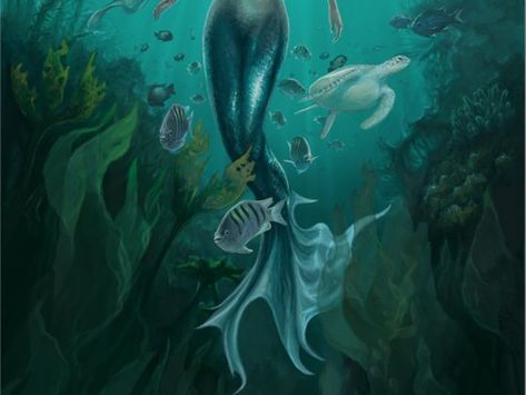 Ever wanted to be a mermaid? Well, where would you live? Mermaid Quizzes, In The Ocean, A Mermaid, The Ocean, Mermaid