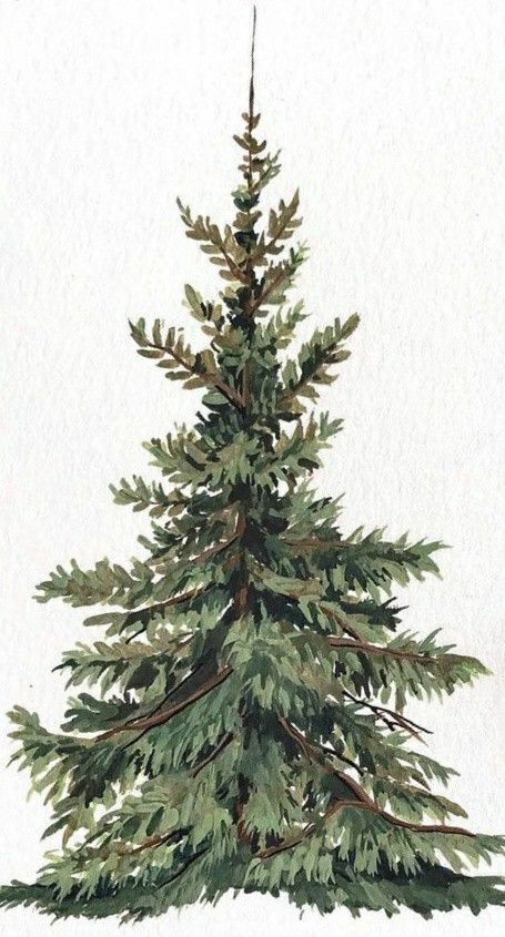 Christmas Tree Drawing Illustration, Winter Drawing Wallpaper, Vintage Christmas Tree Drawing, Christmas Tree Pencil Drawing, Christmas Wallpaper Watercolor, Christmas Tree Drawing Aesthetic, Aesthetic Christmas Art, Simple Christmas Tree Drawing, Vintage Christmas Prints