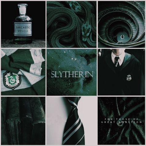 Aesthetic Mood Board// Slytherin #slytherin #aesthetic #moodboard #harrypotter Harry Potter Aesthetic Slytherin, James Sirius Potter, Gryffindor Aesthetic, Draco Malfoy Aesthetic, Slytherin Pride, Types Of Boyfriends, Slytherin Harry Potter, Harry Potter Gif, Harry Potter Houses