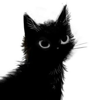 A Black Cat, A Black, Anime Icons, Black Cat, So Cute, Kitty, Black And White, Anime, White