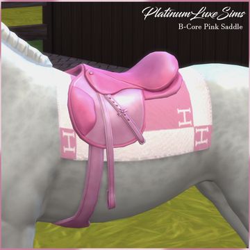 B-Core Pink Bridle & Saddle! 🐴💗 | Patreon Sims 4 Horse Cc, Sims 4 Pets Mod, Sims 4 Horse Ranch, Pink Saddle, Sims Pets, Sims 4 Tsr, Free Sims 4, Sims 4 Expansions, Sims 4 Gameplay