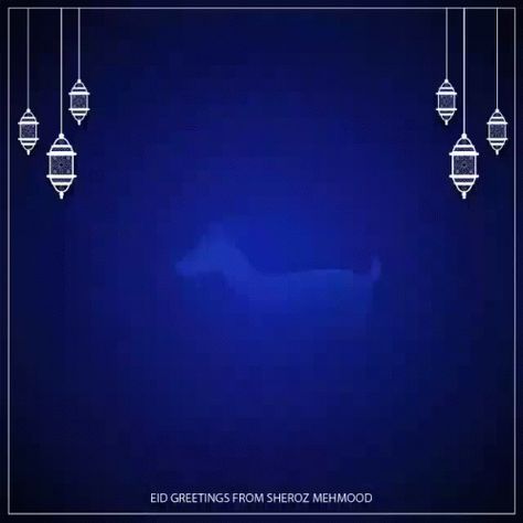 Eid Eid Mubarak GIF - Eid EidMubarak EidUladha - Discover & Share GIFs Eid Mubarak Creative, Eid Gif, Eid Post, Eid Mubarak Gif, Creative Animation, Best Travel Quotes, Motion Design Video, Design Video, Eid Al Fitr