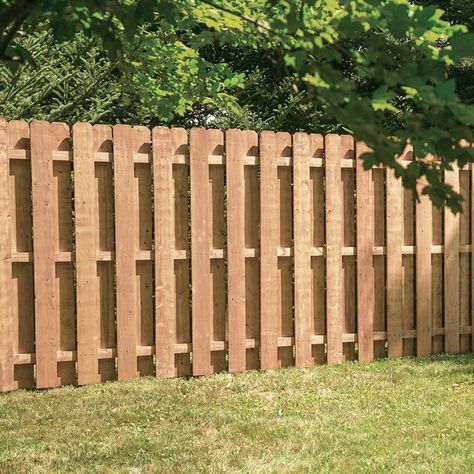 Severe Weather (Actual: 6-Ft X 8-Ft) Cedartone Spruce Pine Fir Dog Ear Wood Fence Panel 73000629 Dog Ear Fence, Privacy Fence Panels, Wood Privacy Fence, Wood Fence Design, Privacy Fence Designs, Fence Styles, Diy Fence, Privacy Fences, Cedar Fence