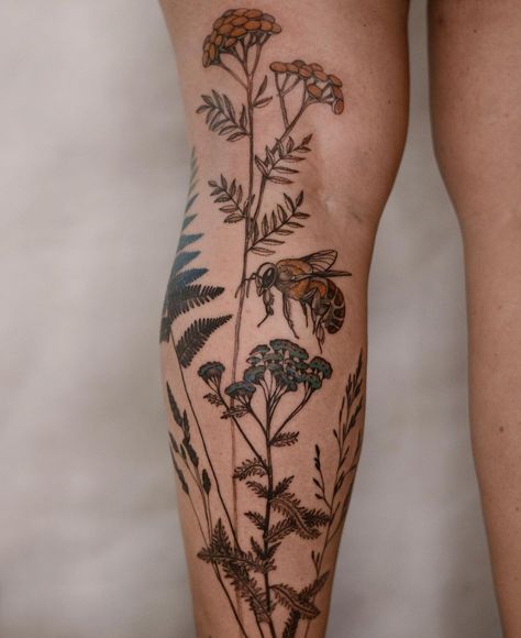 Dzo Lamka - Tattoo Majster (@dzo_lama) • Instagram photos and videos Leg Fern Tattoo, Herbalist Tattoo, Herbs Tattoo, Artful Tattoos, Dzo Lama, Watercolor Dragonfly Tattoo, Sarah Tattoo, Herb Tattoo, Back Of Leg Tattoos