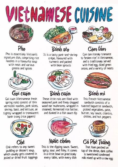 1200×1700 Chef Kitchens, Culinary Cooking, Around The World Food, Food Infographic, Foreign Food, Vietnamese Cuisine, Food Info, Cooking Basics, Food Facts