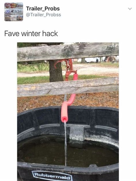 Winter barn hack. No more frozen hoses Farm And Ranch Hacks, Horse Barn Hacks, Horse Hacks, Leaves On The Ground, Farm Hacks, Horse Farm Ideas, Barn Hacks, Diy Horse Barn, Horse Barn Ideas Stables