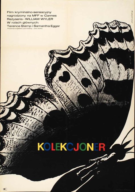 Polish film posters from the BFI Special Collection – in pictures | Film | The Guardian Polish Movie Posters, Terence Stamp, Polish Films, William Wyler, Polish Posters, Polish Poster, Film Posters Art, Graphic Design Collection, Cinema Posters