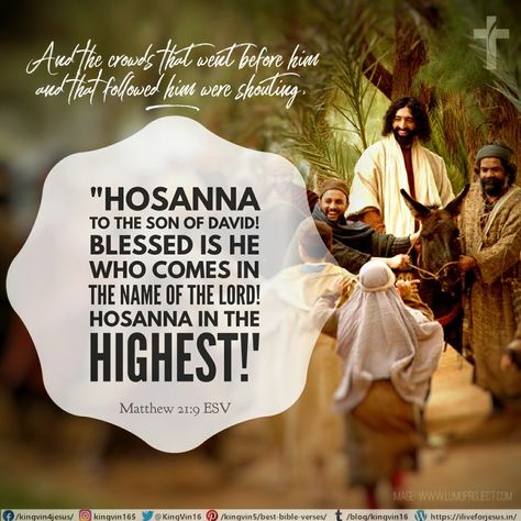 And the crowds that went before him and that followed him were shouting, “Hosanna to the Son of David! Blessed is he who comes in the name of the Lord! Hosanna in the highest!” Matthew 21:9 ESV Hosanna In The Highest Palm Sunday, Palm Sunday Quotes, Beautiful Scriptures, Hosanna In The Highest, Son Of David, Best Bible Verses, Beautiful Scripture, Sunday Quotes, Scripture Pictures