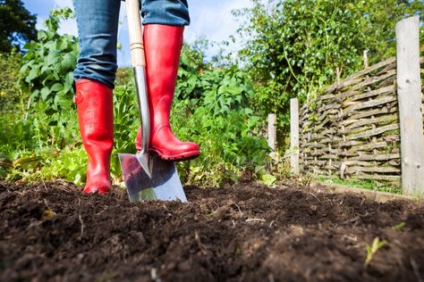 How to Till a Garden Without a Tiller: 10 Solutions That Work Garden Checklist, Garden Preparation, Planting Grass, Yard Maintenance, Benefits Of Gardening, Improve Soil Quality, Garden Plots, Plant Covers, Plant Health