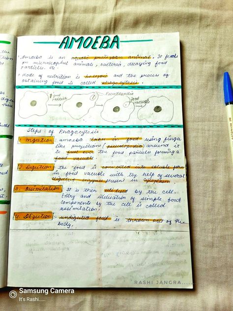 Bio notes.. Nutrition In Amoeba Diagram, Nutrition In Amoeba, Amoeba Diagram, Bio Notes, Us Foods, The Help, Nutrition, Quick Saves