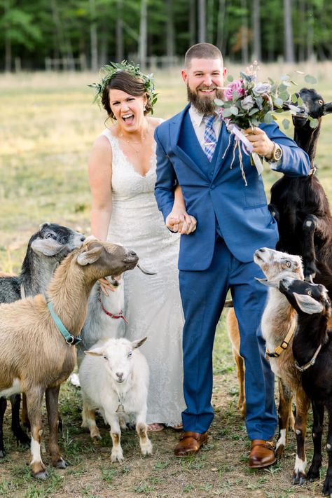 Goat Wedding in Chapel Hill NC — The Carolinas Magazine - North Carolina + SC Wedding Planning Wedding With Goats, Goat Wedding, Wedding Animals, Fishing Themed Wedding, Realistic Wedding, Farm Wedding Photos, Country Wedding Photography, Cowgirl Wedding, Rustic Farm Wedding