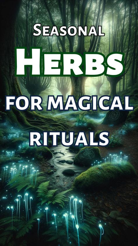 It's not just about brewing teas or seasoning dishes; it's about unlocking the mystical energies that nature offers us, season by season. For beginner witches or those of you just dipping your toes into the wealth of herbal magic, you're in for a treat. This blog post will help you to navigate the lush, vibrant world of seasonal herbs, each with its own magical properties and uses. #herbal #herb #magic #witch #spirituality Herb Magic, Wiccan Alter, Beginner Witches, Witchcraft Tips, Magickal Herbs, Wiccan Symbols, Magic Witch, Wiccan Magic, Witch Spirituality