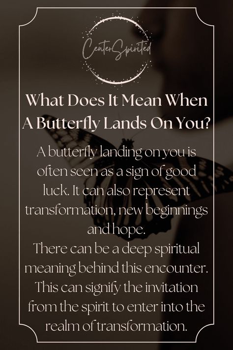 Have you ever experienced the incredible and rare sensation of a butterfly landing on your shoulder? But what does it mean when a butterfly lands on y...https://centerspirited.com/animal-symbolism/what-does-it-mean-when-a-butterfly-lands-on-you/ When A Butterfly Lands On You, Butterfly Information, Butterfly Landing, Butterfly Symbolism, Butterfly Meaning, Butterfly Magic, Animal Signs, Womens Bible, Storm Quotes