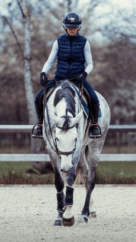 Dressage Friesian, Friesian Dressage, Hunter Jumper Horses, Different Horse Breeds, Equestrian Aesthetic, Beautiful Horse Pictures, English Riding, Grey Horse, Horse Equestrian