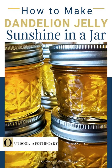 I'm going to share with you a super simple recipe for dandelion jelly that has become an early spring favorite in my family. In fact, I like to put up a few jars to open in the winter months as a little reminder that spring isn't really that far away.Continue Reading Edible Flowers Recipes, Wild Food Foraging, Foraging Recipes, Dandelion Jelly, Jam And Jelly, Dandelion Recipes, Jelly Recipes, Wild Edibles, Chocolate Blanco