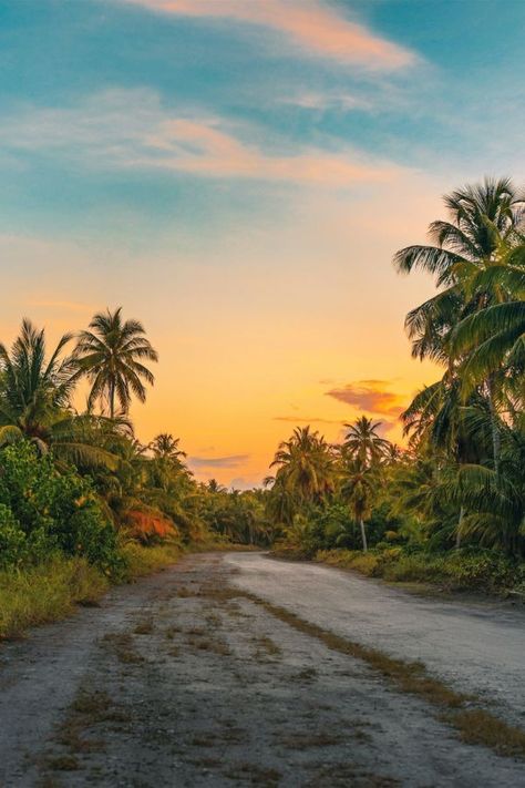 It’s an extraordinary island that appeals to people searching for locations not affected by human activity. Remarkable mountain ranges, gorges and cliffs, including Cabo Girão, were shaped by erosion, while local primary forests have been declared a UNESCO World Heritage Site. Palm Tree Island, Nature Background Images, Padang, Nature Backgrounds, Florida Keys, Caribbean Islands, Travel Agent, Image Hd, Nature Wallpaper