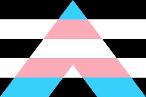 Sigma Grindset, Ally Flag, Straight Flag, Trans Ally, Straight Ally Flag, Lgbtq Ally, Straight Ally, Lgbtq Quotes, Black Deck