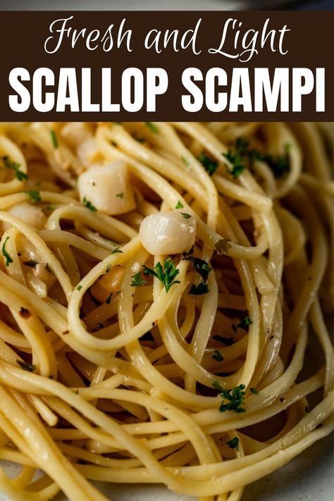 Scallop Pasta Recipe Healthy, Scallops And Linguine, Scallops And Angel Hair Pasta, Pasta Scallops Recipe, Scallop Linguine Recipes, Baby Scallops Recipe, Scallop Scampi Recipe, Sauce For Scallops, Scallops And Pasta