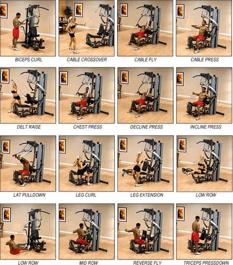 Home Gym Workout Instructions - Infoupdate.org Boflex Workouts, Bowflex Workout Plan, Bowflex Workouts, Bowflex Workout Routine, Bow Flex, Marcy Home Gym, Bowflex Workout, Gym Workouts Machines, At Home Core Workout