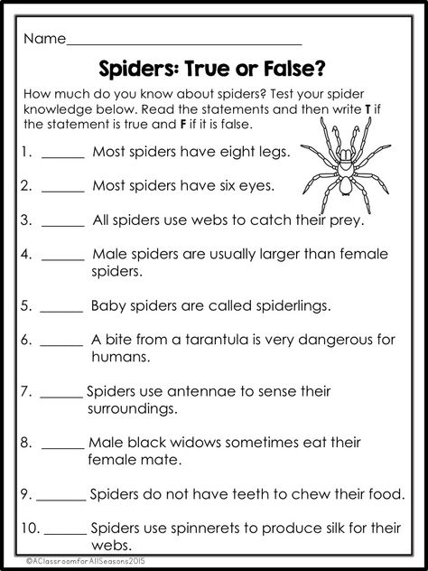 Spider Activities - Classroom Freebies Spider Reading Activities, Spider Facts For Kids, Spider Science, Spider Unit Study, Spider Facts, Spider Unit, Spider Fact, Science Homeschool, Spider Activities