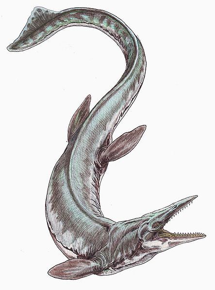 Ancient Monsters, Sea Dinosaurs, Dinosaur Sketch, Dinosaur Tattoos, Prehistoric Wildlife, Dinosaur Pictures, Prehistoric World, Ark Survival Evolved, Prehistoric Art