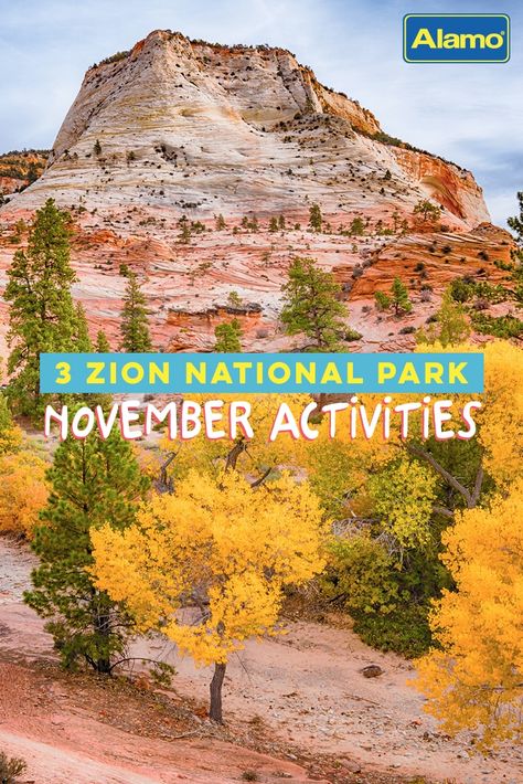 The natural beauty of Utah’s Zion National Park is unmatched, and November visitors are in for a special seasonal treat. Zion welcomes dozens of landscape artists to share their aesthetic talents in real time at its annual Plein Air Art Invitational in November, alongside other unique autumn opportunities for hiking, biking and stargazing — all without the heat and crowds of the busy summer season. Discover our top three can’t-miss November activities at Zion! Zion National Park In November, Zion In November, Utah In November, Zion National Park Camping, Zion Camping, Zion National Park Photography, Narrows Zion National Park, Zion National Park Hikes, Park Activities