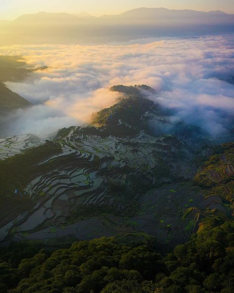 More than just beaches, the Philippines offers a variety of natural landscapes that are a feast for the senses Photo: @palaboynamangyan #BeholdPH #mtkupapey #hikingph #globetrekker #mountainhike #seaofclouds #mountainviews #travelphilippines #chooseph #bontoc Natural Landscapes, The Senses, Enjoy Nature, Mountain Hiking, The Philippines, Mountain View, Philippines, Travel, Nature