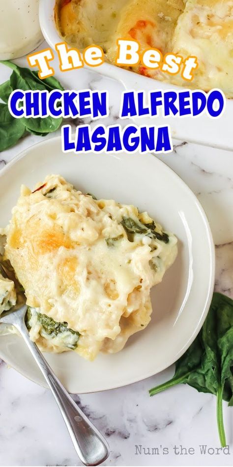 Gluten Free Alfredo, The Best Chicken Alfredo, Best Chicken Alfredo, Chicken Alfredo Lasagna Recipe, Easy Chicken Alfredo, Chicken Alfredo Lasagna, Alfredo Lasagna, Corn Casserole Recipe, Classic Lasagna