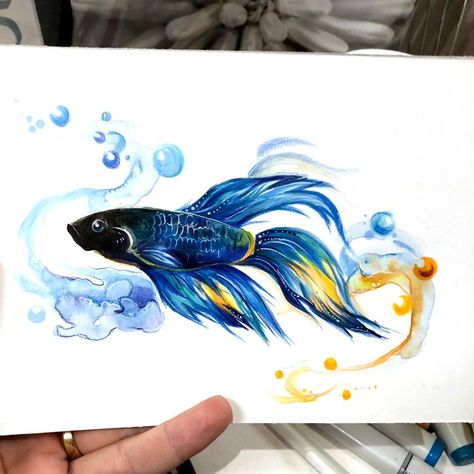 Watercolor Fish, Japanese Koi, Fish Drawings, Wonderful Weekend, Fish Painting, Koi Pond, Betta Fish, Watercolor Artwork, Koi Fish