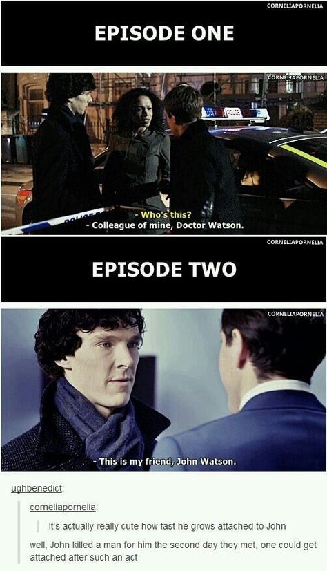 #wattpad #random It has been over a year since "The Final Problem" aired, and I have taken it upon myself to collect the best memes, Tumblr posts, and fanart this flaming pile of trash fandom could offer me. Spoilers lurk ahead! Film Memes, John Lock, Rupert Graves, Mrs Hudson, Steven Moffat, Sherlock Holmes Bbc, Dr Watson, Mark Gatiss, Sherlock 3