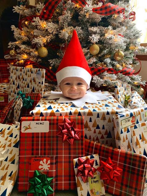 Cute Baby Gift Ideas, Baby Elf On The Shelf, Baby Christmas Photography, Christmas Picture Books, Christmas Baby Pictures, Baby Elf, Elf Toy, Napkin Folds, Chocolate Advent Calendar