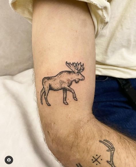 This but female and slightly different style Marmot Tattoo, Moose Tattoo For Women, Wildlife Tattoos For Men, Moose Tattoos, Calgary Tattoo, Botanical Sleeve, Maine Tattoo, Elk Tattoo, Tattoo Dream