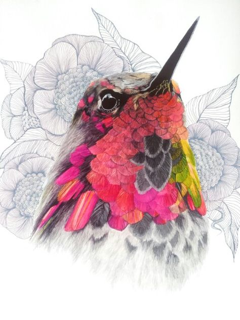 Pink Hummingbird, Hummingbird Pictures, Hummingbird Painting, Hummingbird Art, After All This Time, All This Time, Pencil Art Drawings, Color Pencil Art, Color Pencil Drawing