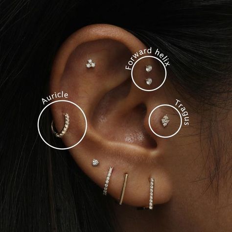 Most Painful Ear Piercings Chart, Ear Piercings Placement Chart, Ušný Piercing, Ear Piercings Ideas, Piercings Chart, Piercing Guide, Minimalist Ear Piercings, Ear Piercing Ideas, Unique Ear Piercings