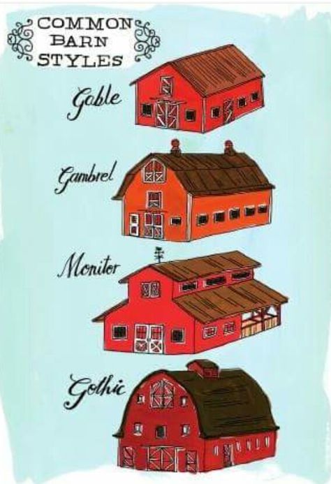 . Farm Anatomy, Construction Knowledge, Sandie Shaw, Julia Rothman, British Girl, Bar Bedroom, Barn Shop, Barn Living, Build A Shed