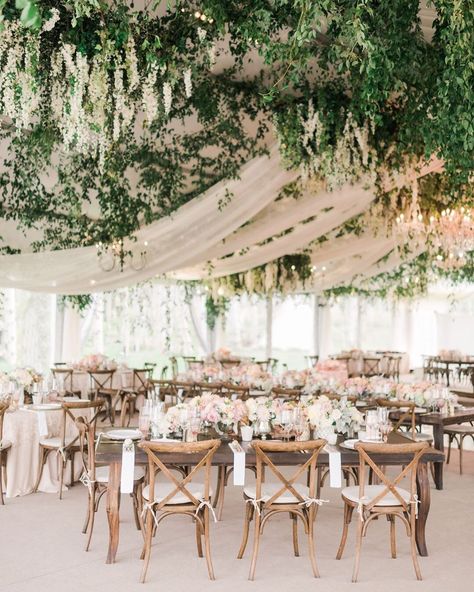 V A L O R I E D A R L I N G on Instagram: “I’m thrilled to be heading back to this incredible place @flyingdiamondranch this weekend! Colorado here I come! 🌿 ⠀⠀⠀⠀⠀⠀⠀⠀⠀ Print:…” White Drapes Wedding, Wedding Tent Draping, Drapes Wedding, Tent Draping, Making A Wedding Dress, Green Wedding Inspiration, Wedding Venue Decor, Luxury Honeymoon, White Drapes