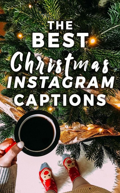 Christmas Lights Caption, Christmas Captions Instagram, Christmas Instagram Captions, Funny Christmas Captions, Pictures Captions, Christmas Captions For Instagram, Christmas Instagram Pictures, Christmas Instagram, Merry Christmas Quotes