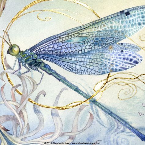 Dragonfly Artwork, Dragonfly Drawing, Stephanie Law, Dragonfly Photos, Dragonfly Painting, Watercolor Dragonfly, Dragonfly Dreams, Rhinestone Sticker, Blue Dragonfly