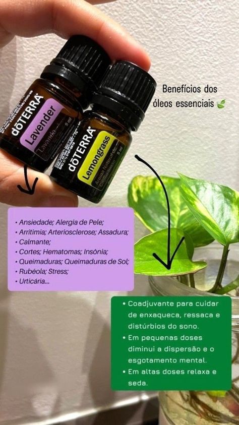 Descubra os benefícios da Aromaterapia e torne-se uma Aromaterapeuta para trabalhar atendendo online ou presencialmente. Clique no site e saiba mais! Siberian Fir, Essential Oil Benefits, Doterra Oils, Salon Design, Doterra, Lemon Grass, Reiki, Essential Oils, Instagram