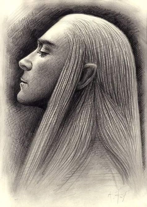 Thranduil by Andrew Fry The Hobbit Characters, Middle Earth Elves, Legolas And Thranduil, Hobbit Art, Tolkien Elves, Graphite Art, Middle Earth Art, Drawing Examples, Line Artwork