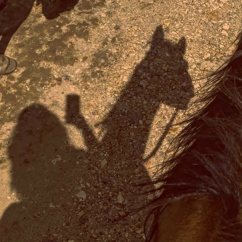 Horse Shadow, Summer Hamilton, Girl And Horse, Chestnut Springs, Trail Ride, Chestnut, Springs