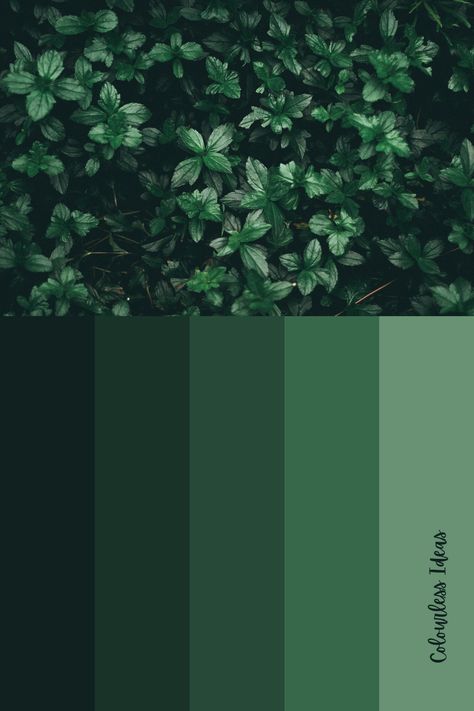 Follow for more colour palettes Green Color Chart, Color Names Chart, Orange Color Schemes, Color Plan, Royal Green, British Racing Green, Color Palate, Stencil Art, Green Colour